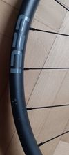 Kola IDEA 29"