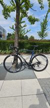 Basso-Astra Sram Force ASX 2023 L