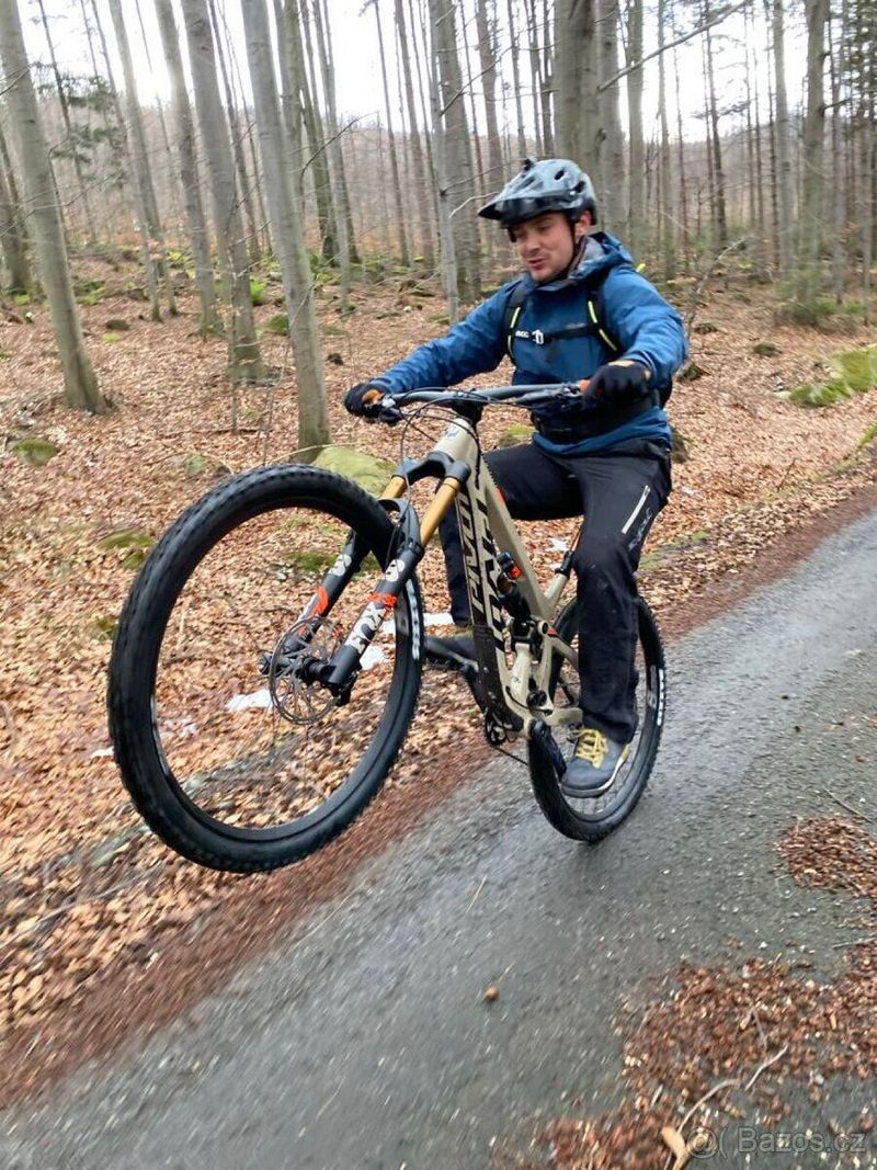 Pivot Firebird X01