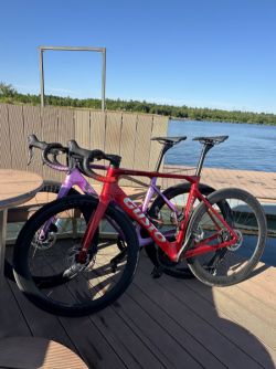 Gusto COBRA EVO DB Sport TE