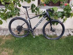 Focus Raven 8.6