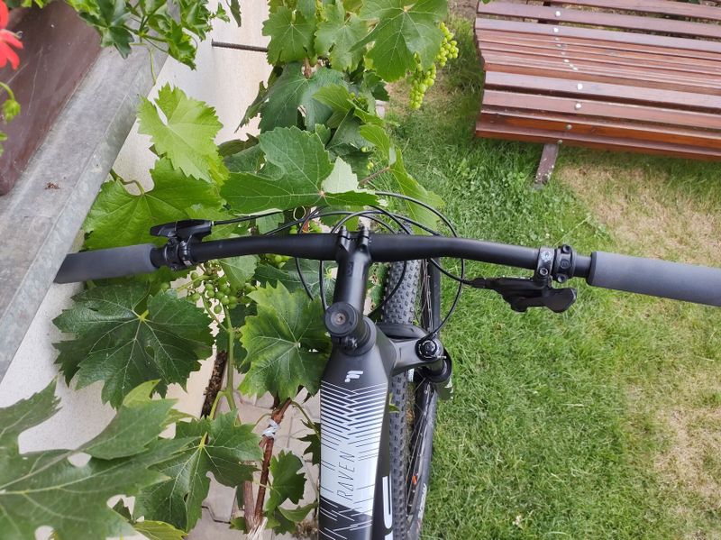 Focus Raven 8.6