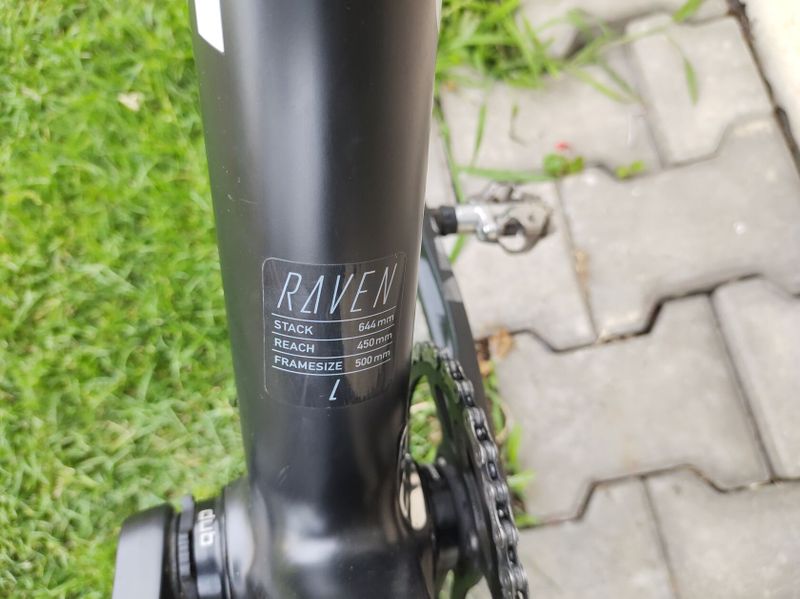 Focus Raven 8.6