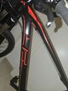 4E Front Bee 