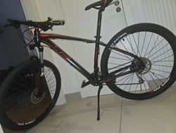 4E Front Bee 