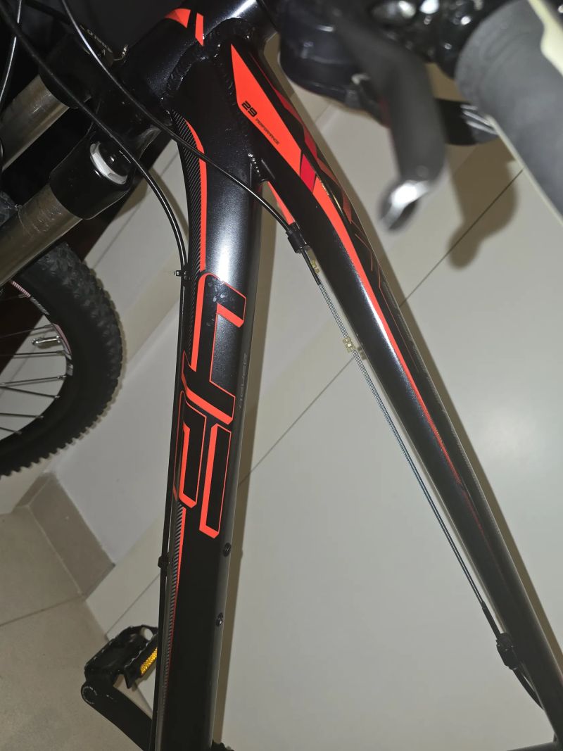 4E Front Bee 