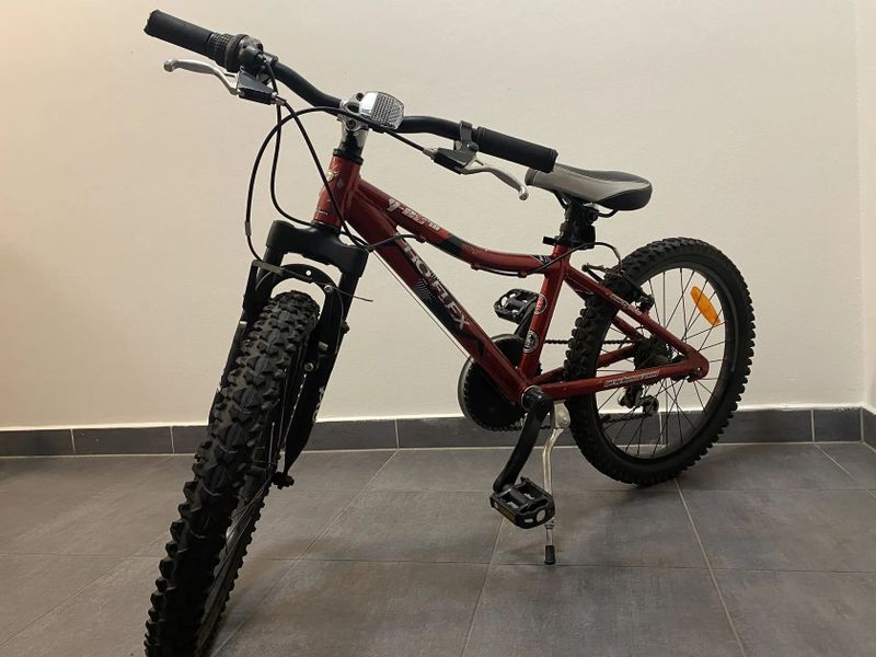 PRO FLEX 20’’