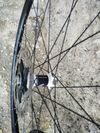 Mtb kola Fulcrum Red 55.