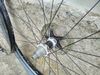 Mtb kola Fulcrum Red 55.