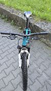 CORE 24" Al Nipper Custom