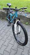 CORE 24" Al Nipper Custom