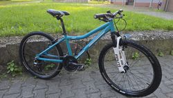 CORE 24" Al Nipper Custom