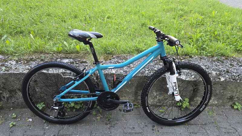 CORE 24" Al Nipper Custom
