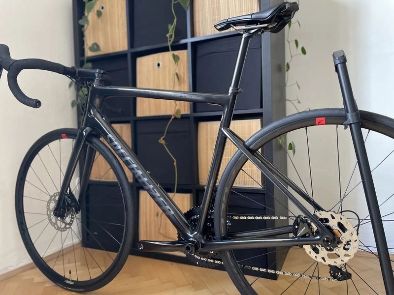 Specialized Tarmac SL6 Comp Disc / vel.56 / zánovní