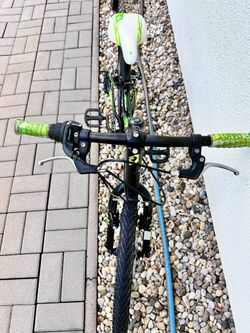 Superior Paint 20"