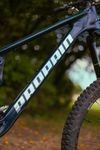 Propain Tyee CF 6.1 MX 2025