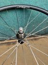 Prodám výplety Campagnolo - Proton, Nucleon, zonda, Neutron