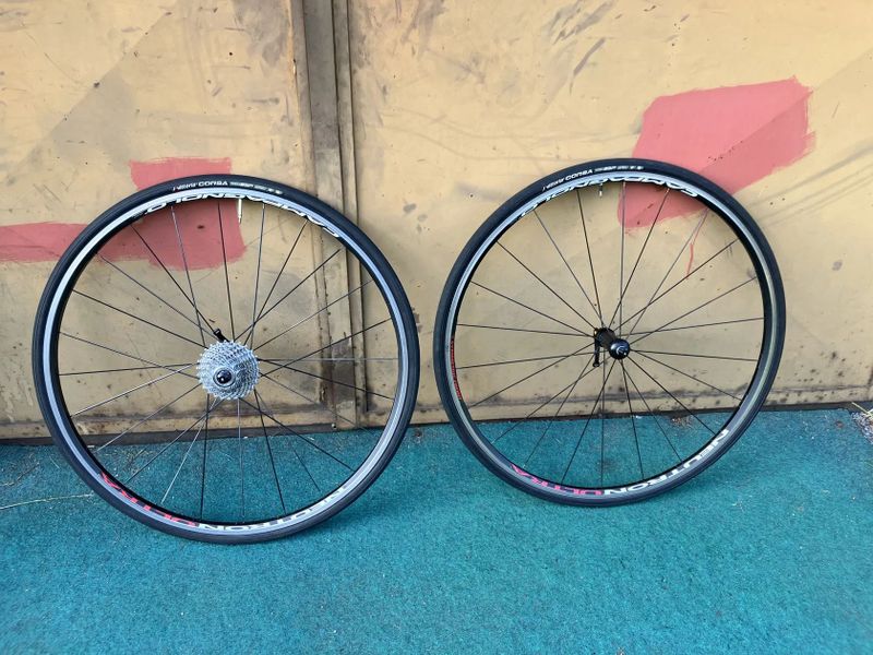 Prodám výplety Campagnolo - Proton, Nucleon, zonda, Neutron