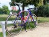 De Rosa Merak