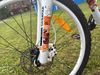 Scott Contessa 30