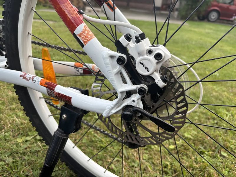 Scott Contessa 30