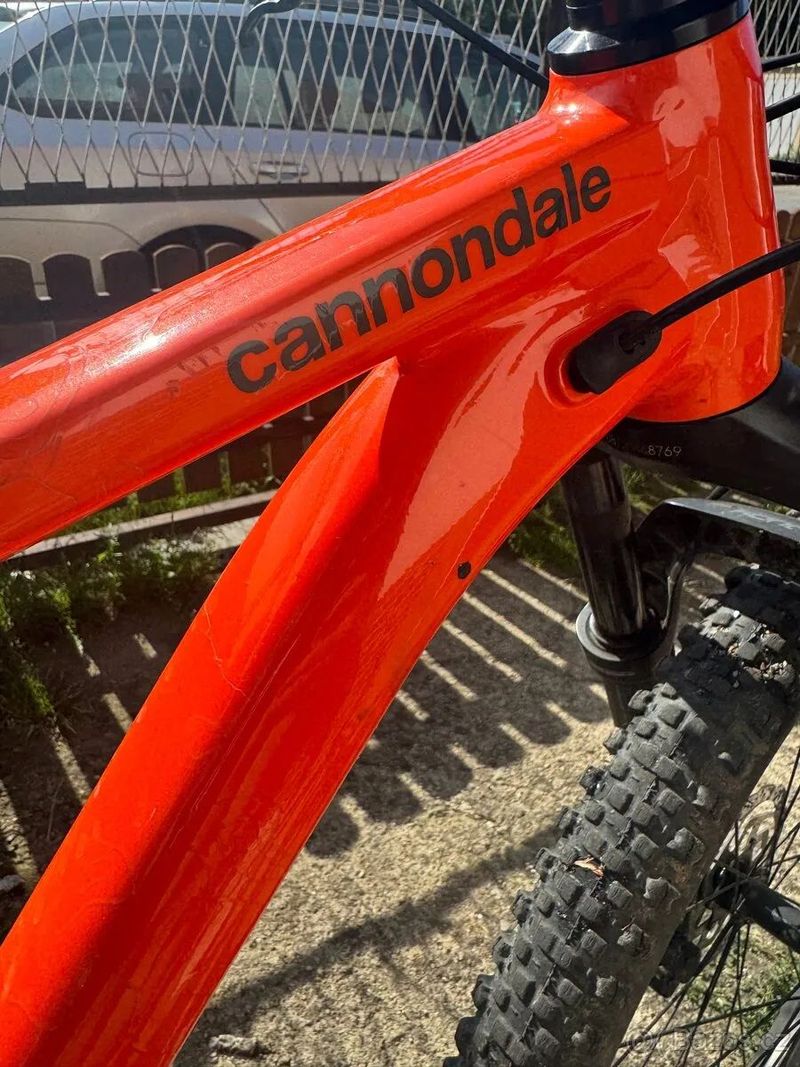 CANNONDALE Trail SE 3