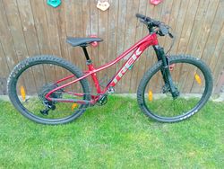 Trek Merlin 8 