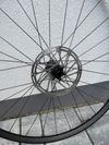 29" kola DT Swiss XR 1700