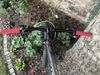 Scott Scale 910XT