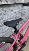 Force Forkys 24