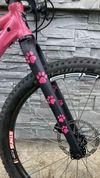 Force Forkys 24
