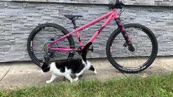 Force Forkys 24