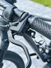 Specialized HT Carbon 29” 