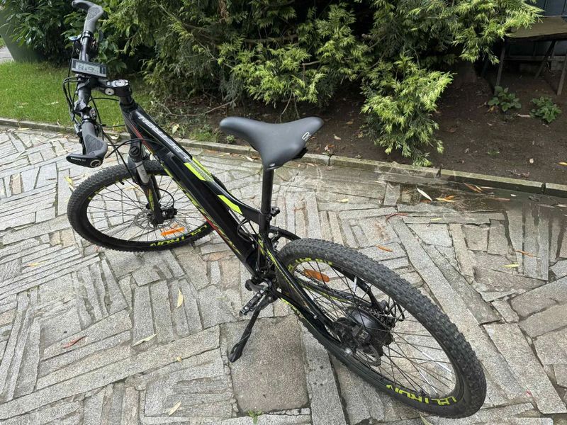 Lectron montana 