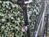 Rocky Mountain, Vertex, XT, velikost L