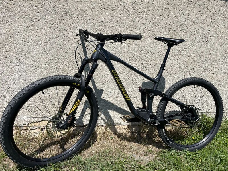 Bergamont Trailster 8 L