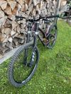 Specialized Demo