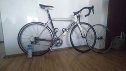 Pells R-Six Ultegra