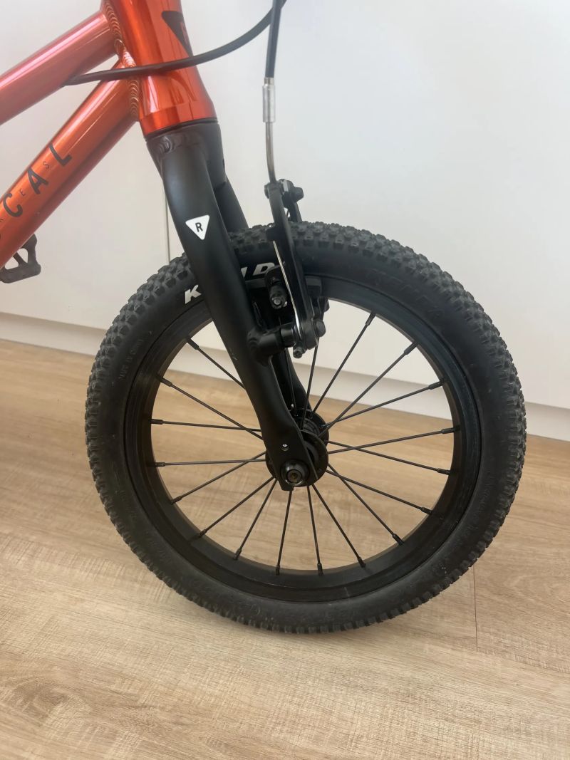 Rascal 14”