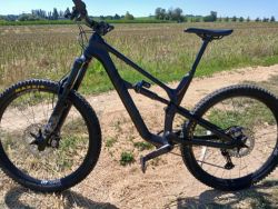 Canyon Spectral CF8