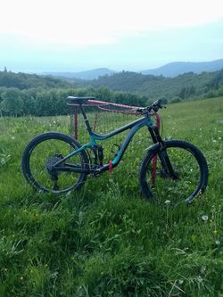 Giant reign 2ltd