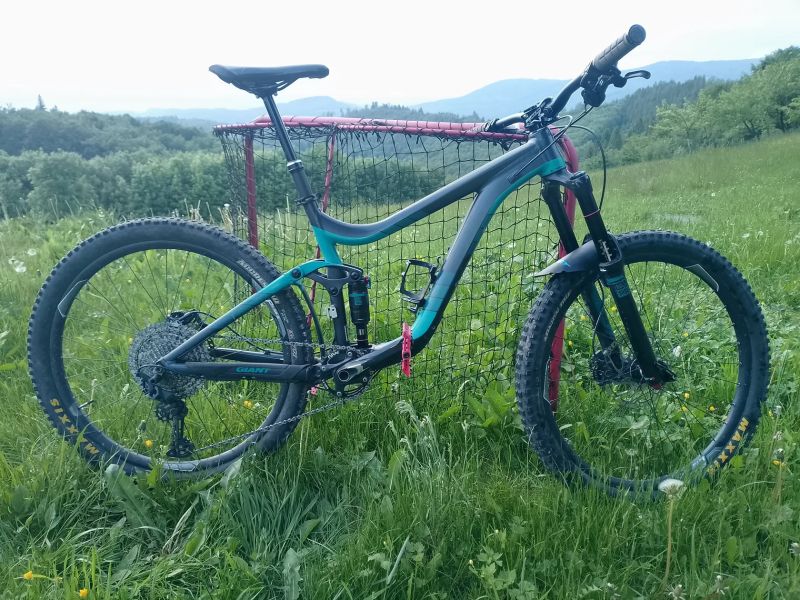 Giant reign 2ltd