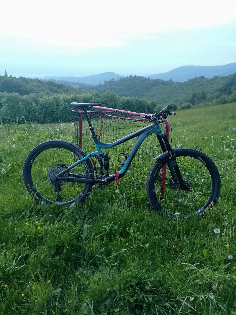 Giant reign 2ltd
