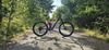 CANYON STRIVE XL karbon