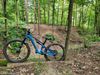 Canyon Neuron CF 9.0 SL (2019) / vel. S / fullcarbon / SRAM XO1 Eagle / FOX Performance / Reynolds