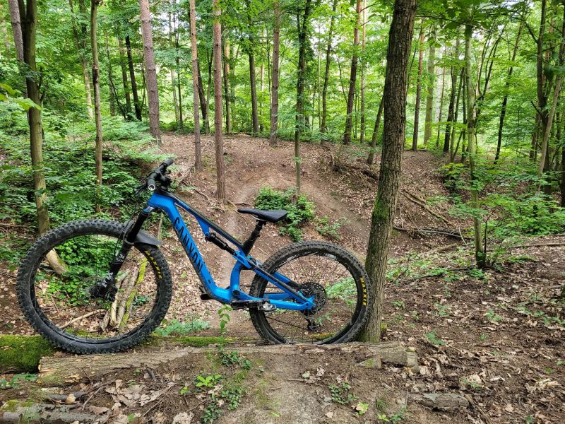 Canyon Neuron CF 9.0 SL (2019) / vel. S / fullcarbon / SRAM XO1 Eagle / FOX Performance / Reynolds