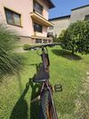 Scott Contessa Active 20