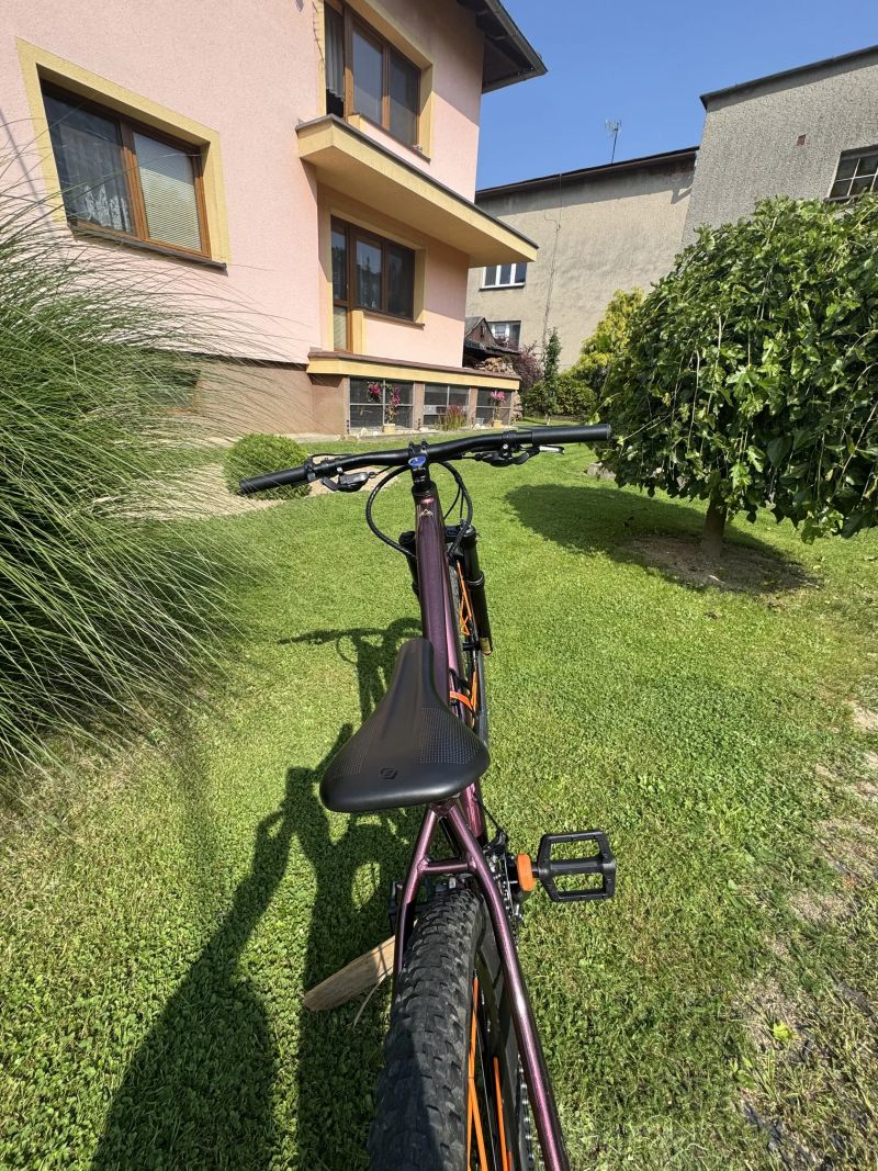Scott Contessa Active 20