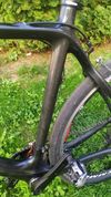 Stevens Carbon team