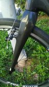 Stevens Carbon team